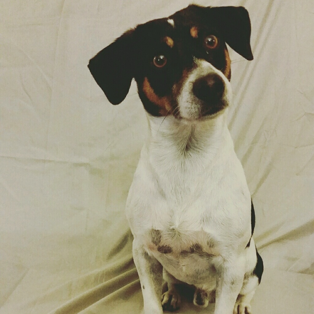 Meet your Posher, Kel